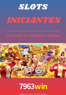 Premium Interface 7963win